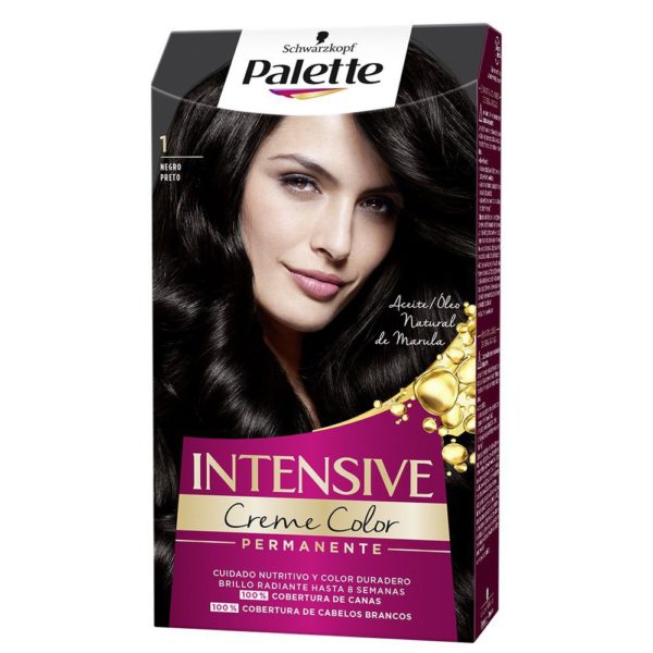 PALETTE Intensive CC 1 Negro